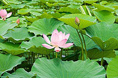 《星空》PC版AMD配置需求 最低Ryzen5 7600＆RX7600